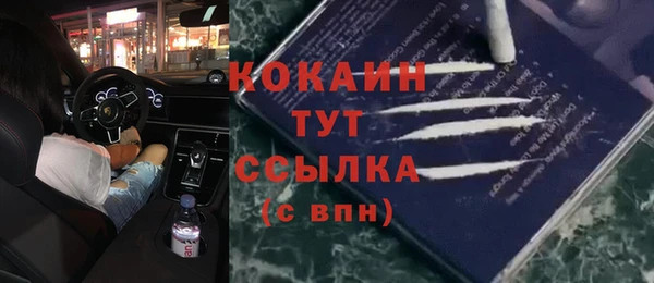 a pvp Аркадак