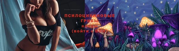 apvp Арсеньев
