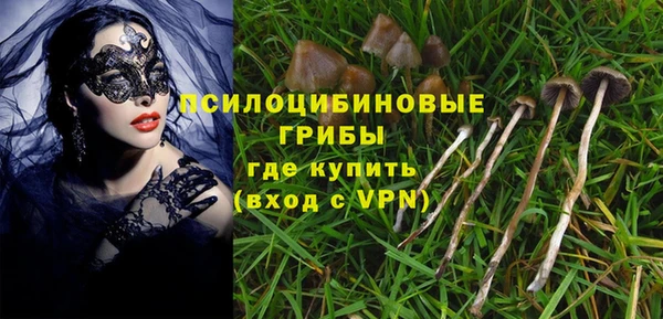 a pvp Аркадак