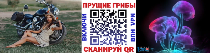 магазин  наркотиков  Холм  Псилоцибиновые грибы мухоморы 